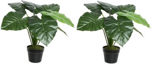 Shoppartners 2x Groene Colocasia/taro Kunstplant 52 Cm In Zwarte Pot - Kunstplanten/nepplanten - Kantoorplanten
