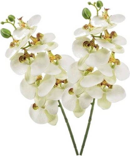 Shoppartners 2x Witte Phaleanopsis/vlinderorchidee Kunstbloemen 70 Cm - Kunstbloemen Boeketten