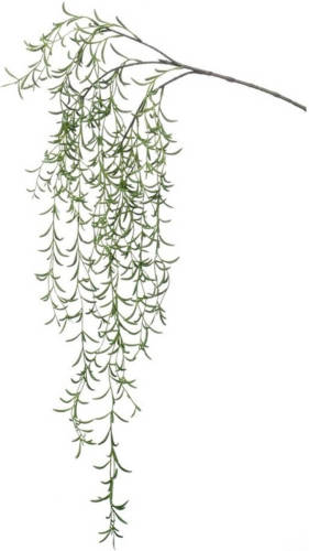 Shoppartners Kunstplant Groene Hoya Hangplant/tak 120 Cm - Kunstplanten