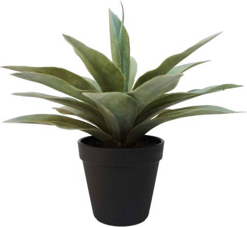Shoppartners Kantoor Kunstplant Agave Grijs In Zwarte Pot 19 Cm - Kunstplanten