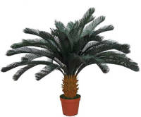 InterGard Tuinartikelen Intergard Kunstplanten Cica 125cm