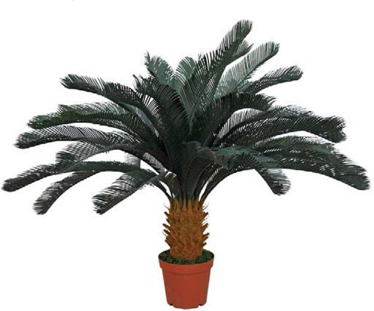 InterGard Tuinartikelen Intergard Kunstplanten Cica 125cm