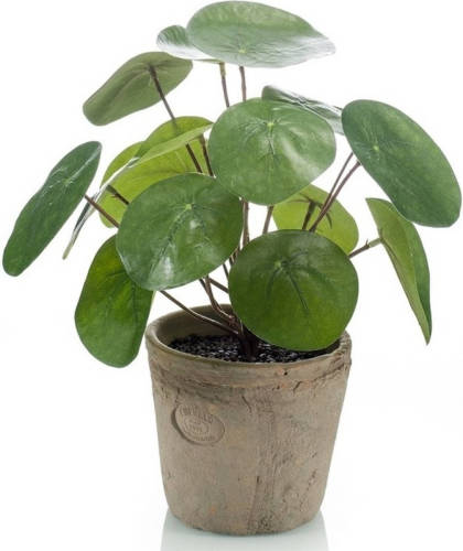Shoppartners Kunstplant Pannenkoeken Plant Groen In Pot 25 Cm - Kamerplant Groen Pilea