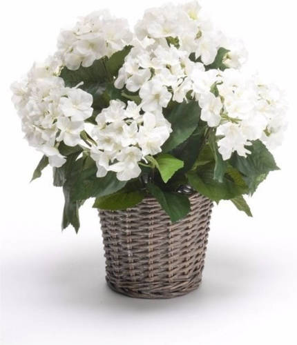 Shoppartners Kunstplant Witte Hortensia In Mand 45 Cm