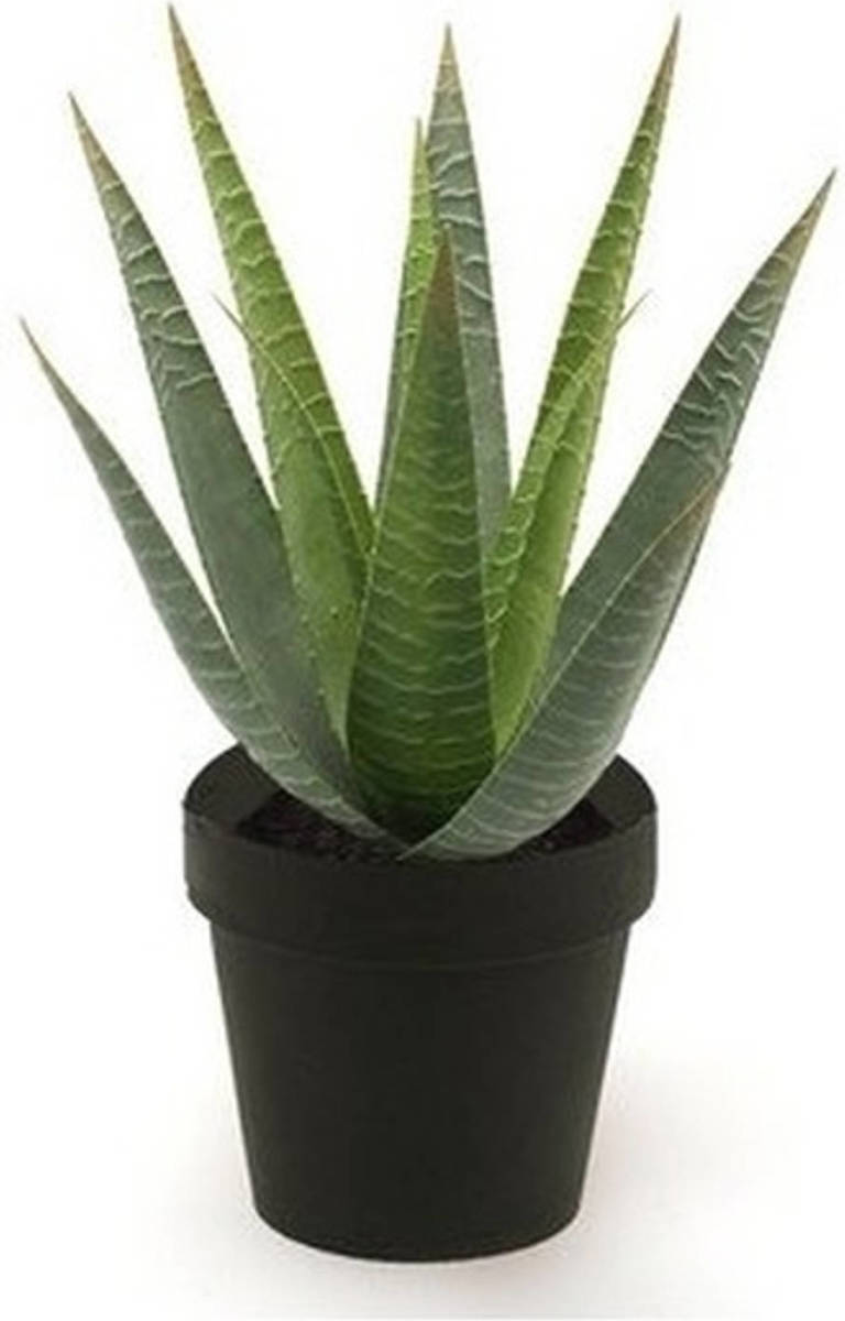 Shoppartners Kunstplant Aloe Vera Groen In Zwarte Pot 23 Cm - Kunstplanten