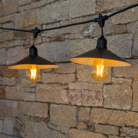 Lumisky Vinty Light Lichtsnoer Inclusief 10 Filament Led-lampjes - 6 M