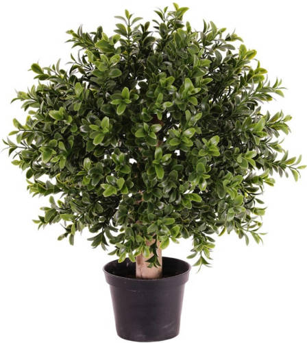 Shoppartners Buxus Bol Kunstplant Op Stam In Pot 35 Cm