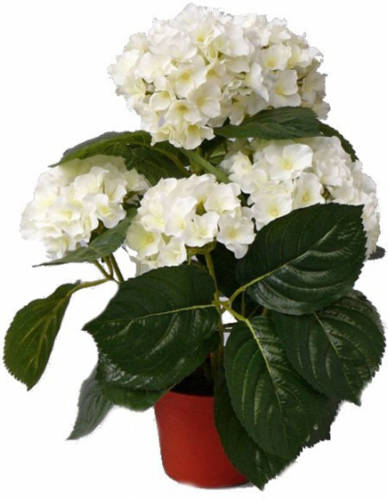 Shoppartners Kunst Hortensia Plant Wit 36 Cm - Kunstplanten
