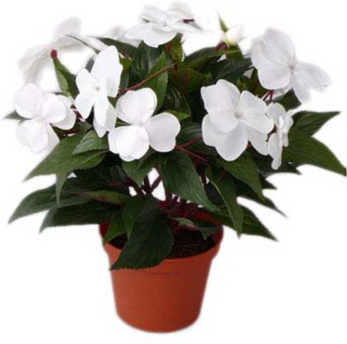 Shoppartners Kunstplant Wit Vlijtig Liesje In Pot Van 25 Cm - Kunstplanten
