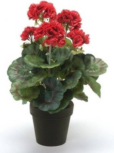 Shoppartners Kunstplant Geranium Rood In Zwarte Pot 35 Cm - Kunstplanten