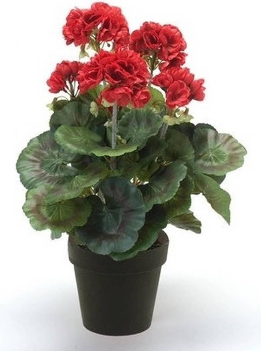 Shoppartners Kunstplant Geranium Rood In Zwarte Pot 35 Cm - Kunstplanten