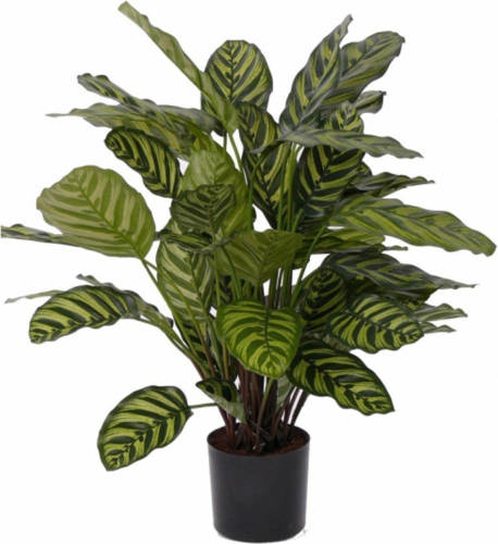 Shoppartners Kunst Calathea 67 Cm - Kunstplanten