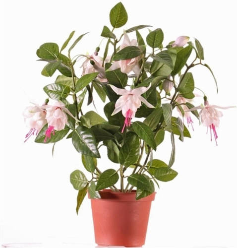 Shoppartners Fuchsia Plant Roze In Pot 30 Cm - Kunstplanten