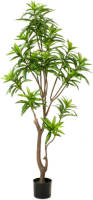 Emerald Kunstplant Dracaena 155 Cm Groen