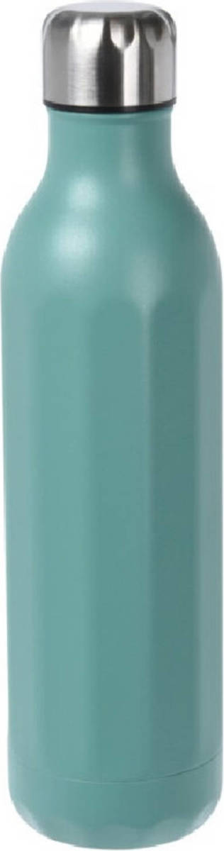 Rvs Thermosfles / Isoleerfles Voor Onderweg 500 Ml Aqua Groen - Thermosflessen