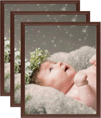 VidaXL Fotolijsten 3 St Voor Wand Of Tafel 21x29,7 Cm Donkerrood