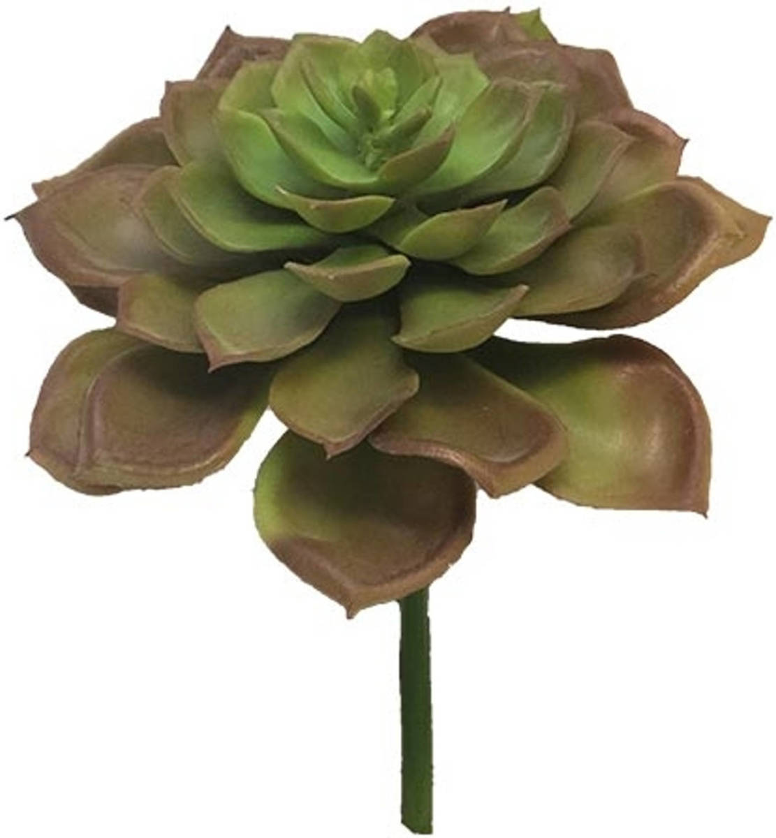 Warentuin Kunst Echeveria Vetplant 17 Cm - Roze