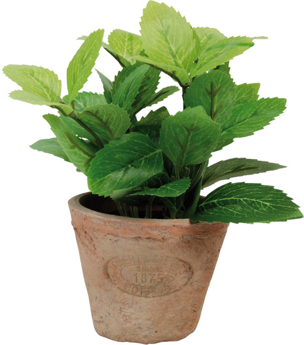 Shoppartners Kunstplant Muntkruiden In Terracotta Pot 16 Cm - Kunstplanten