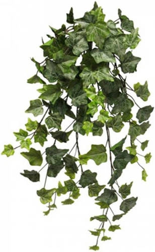 Warentuin Frosted Ivy Chicago Hanger 70 Cm Kunsthangplant Nova Nature