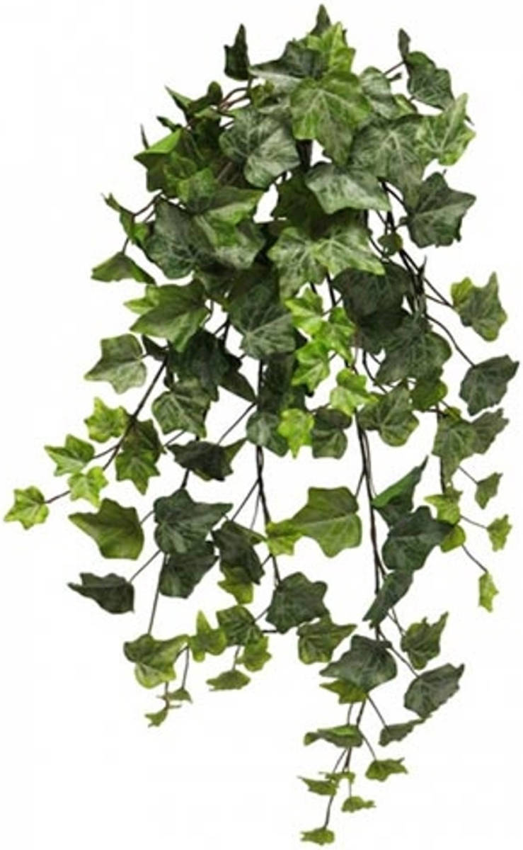 Warentuin Frosted Ivy Chicago Hanger 70 Cm Kunsthangplant Nova Nature