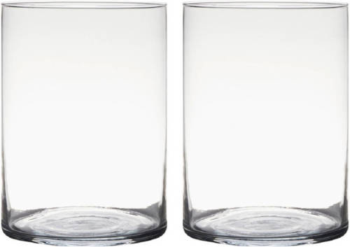 Bellatio Design 2x Stuks Transparante Home-basics Cylinder Vorm Vaas/vazen Van Glas 25 X 18 Cm - Vazen