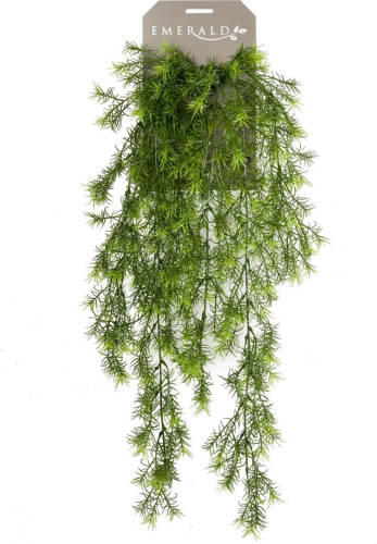 Emerald Kunstplant Asparagus Hanging Bush 75cm