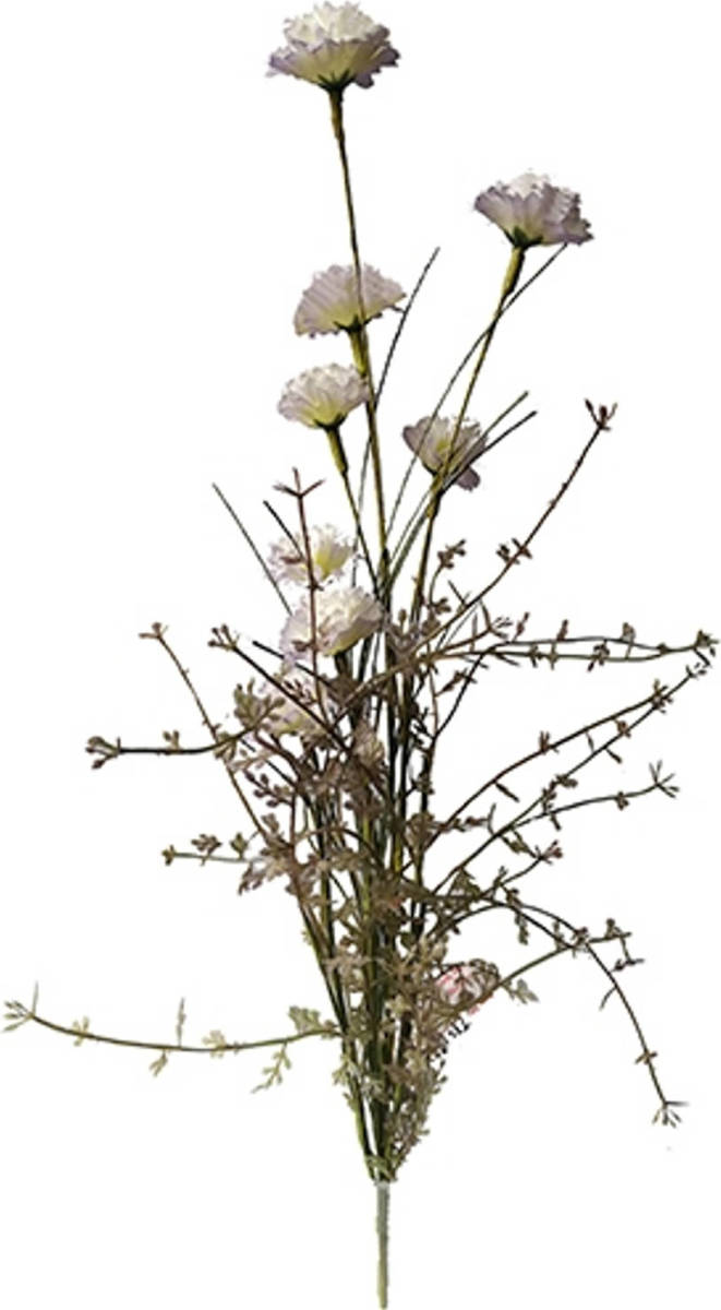 Warentuin Anjer 55cm Paars