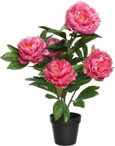 Shoppartners Roze Paeonia/pioenroos Rozenstruik Kunstplant 57 Cm In Zwarte Plastic Pot - Kunstplanten/nepplanten - Pioenrozen