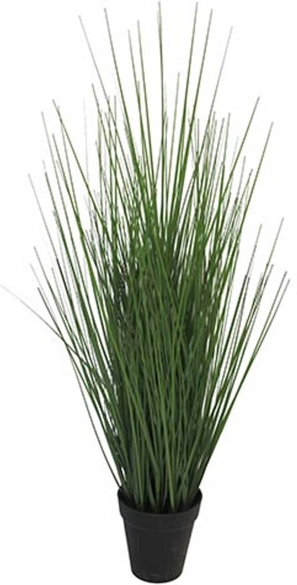 Warentuin King Festuca Incl Pot 61 Cm Kunstplant Nova Nature
