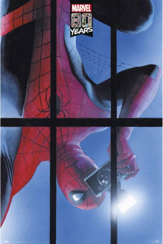 Yourdecoration Grupo Erik Marvel Spider-man 80 Years Poster 61x91,5cm