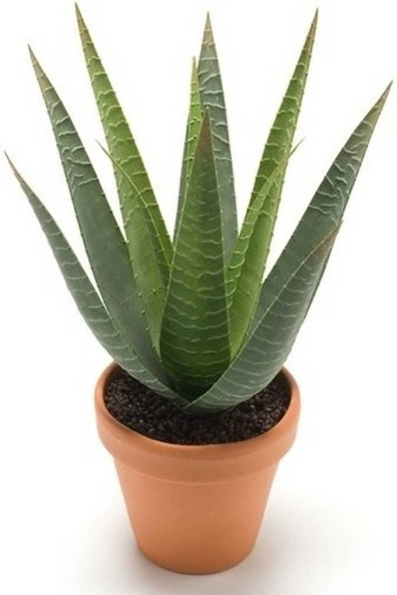 Shoppartners Kantoor Kunstplant Aloe Vera Groen In Terracotta Pot 23 Cm - Kunstplanten