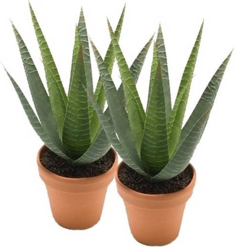 Shoppartners 2x Kunstplant Aloe Vera Groen In Terracotta Pot 23 Cm - Kunstplanten
