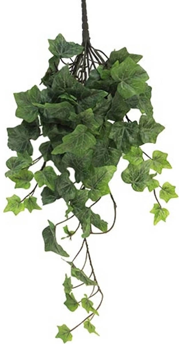 Warentuin Frosted Ivy Chicago Hanger 46 Cm Kunsthangplant Nova Nature