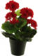 Warentuin Kunst Pelargomium In Pot Red - 28 Cm