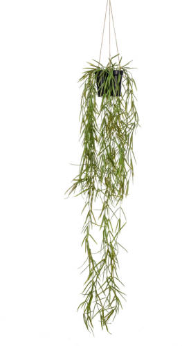 PrettyPlants Kunst Hangplant Hoya 80cm