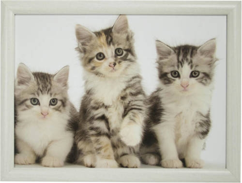 Mars & More Laptray/schoottafel 3 Kat/poes/kittens Print 43 X 33 Cm - Dienbladen