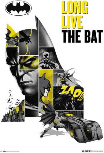 Yourdecoration Grupo Erik Dc Comics 80 Anniversary Batman Poster 61x91,5cm