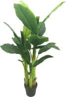 Warentuin Bananenboom 125 Cm
