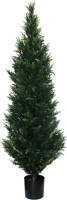 Warentuin Cedar 182 Cm