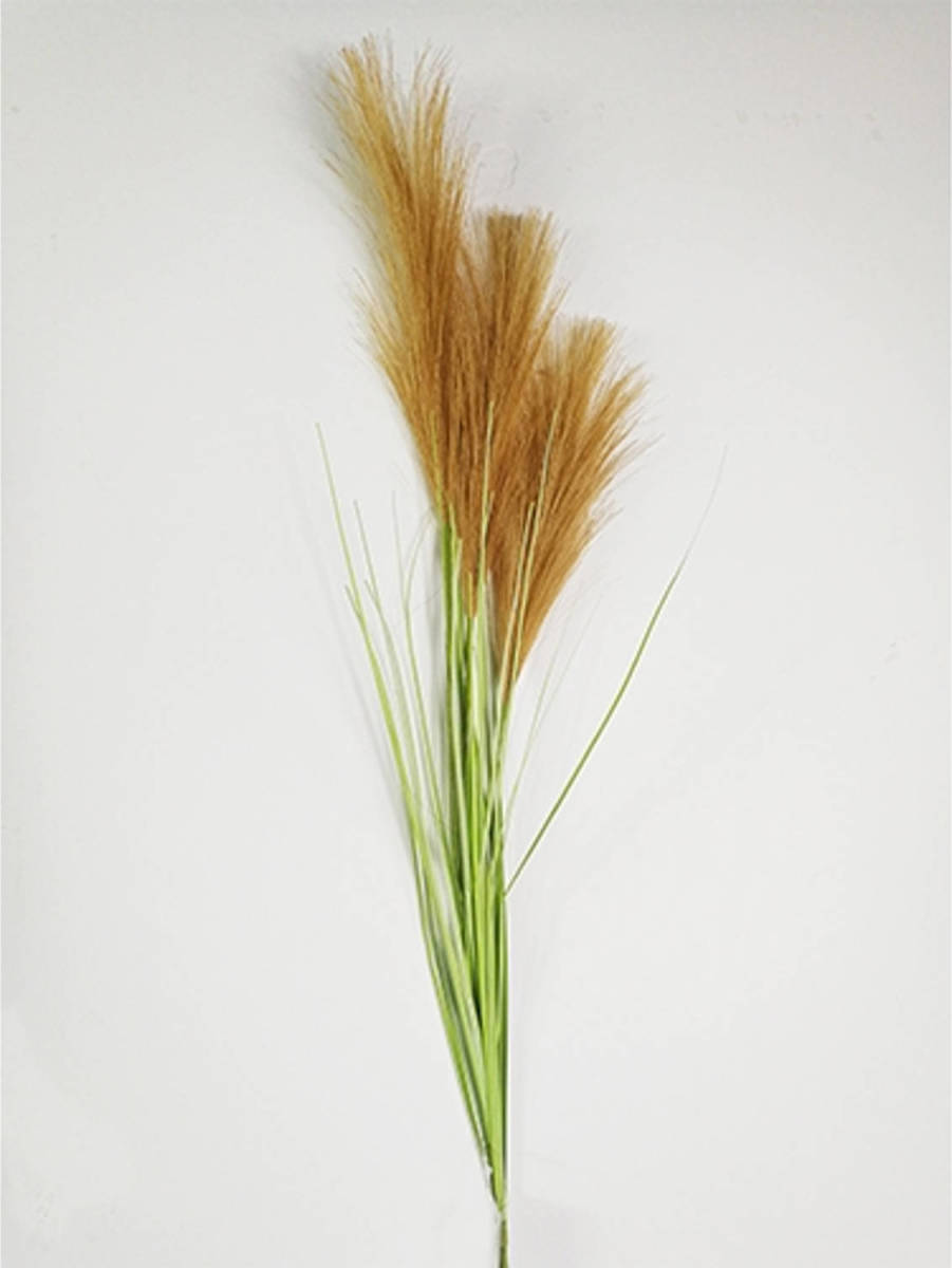 Warentuin Pampas Gras 80cm Met Blad Bruin