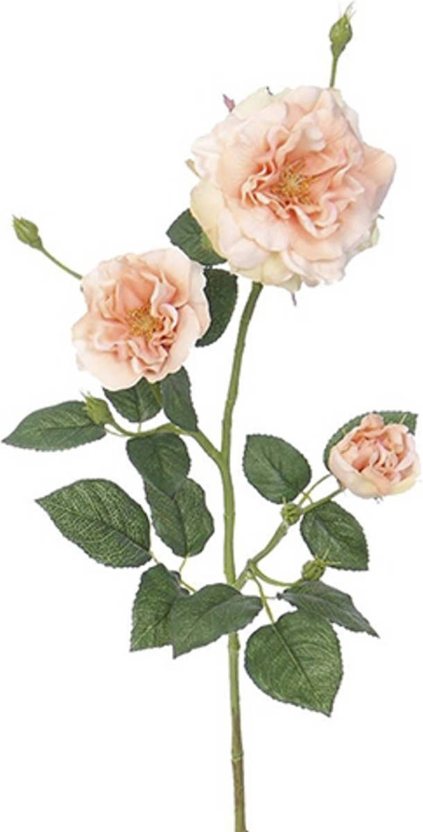 Warentuin Rozentak Zalm Roze
