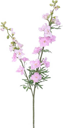 Warentuin Delphinium Tak L.pink