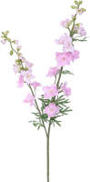 Warentuin Delphinium Tak L.pink