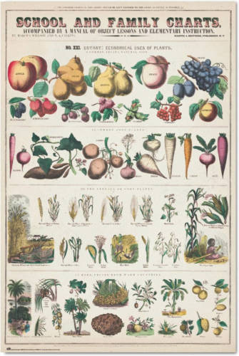 Yourdecoration Grupo Erik Fruits And Vegetables Poster 61x91,5cm