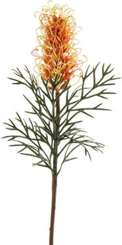 Emerald Grevillea Spray Coral 80 Cm