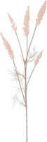 Warentuin Astilbe Tak Pk