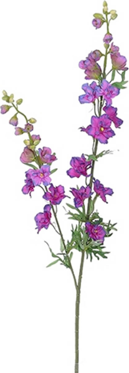 Warentuin Delphinium Tak D.blue