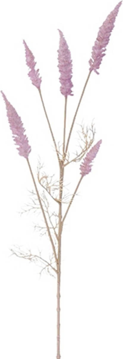 Warentuin Astilbe Tak Pink