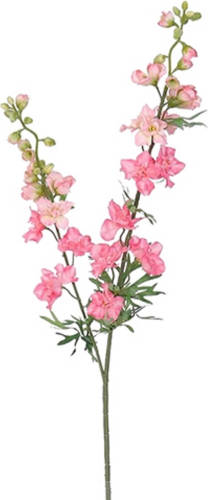 Warentuin Delphinium Tak Zalm Roze