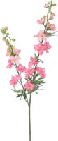 Warentuin Delphinium Tak Zalm Roze